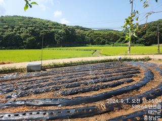 조현미님의 9월 농사계획 공유하기 · 참여글 작성글 사진