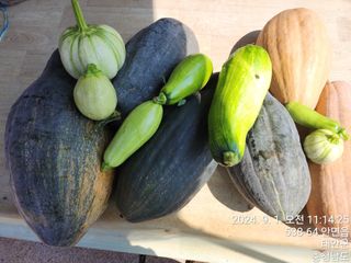 조현미님의 9월 농사계획 공유하기 · 참여글 작성글 사진