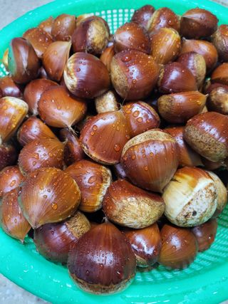 동해리님의 자유주제 · 자유게시판 작성글 사진