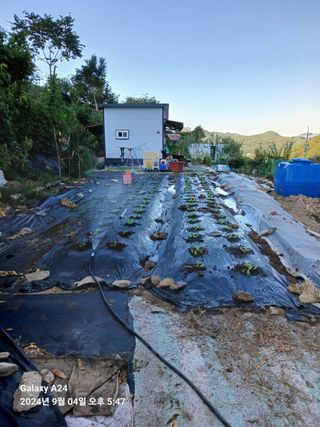 이세순님의 9월 농사계획 공유하기 · 참여글 작성글 사진