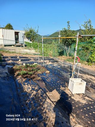 이세순님의 9월 농사계획 공유하기 · 참여글 작성글 사진