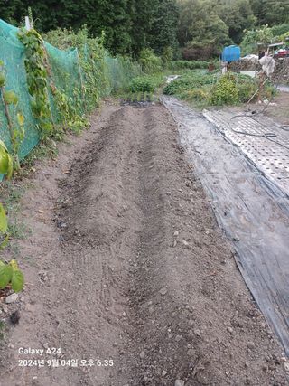 이세순님의 9월 농사계획 공유하기 · 참여글 작성글 사진