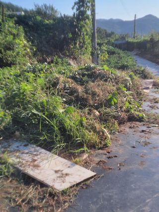 이세순님의 9월 농사계획 공유하기 · 참여글 작성글 사진