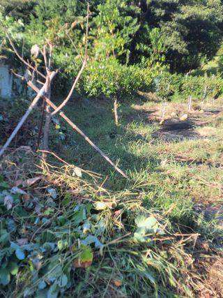 이세순님의 9월 농사계획 공유하기 · 참여글 작성글 사진