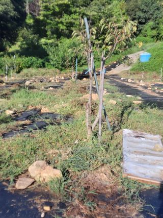 이세순님의 9월 농사계획 공유하기 · 참여글 작성글 사진