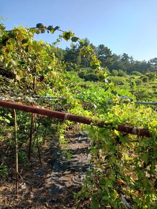 바다님의 작성글 사진