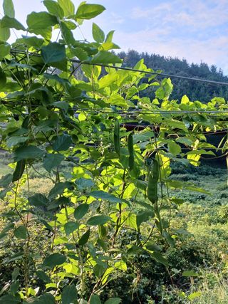 바다님의 작성글 사진