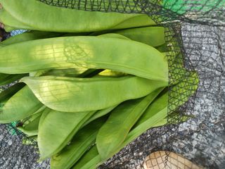 바다님의 작성글 사진