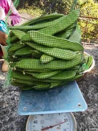 바다님의 작성글 사진