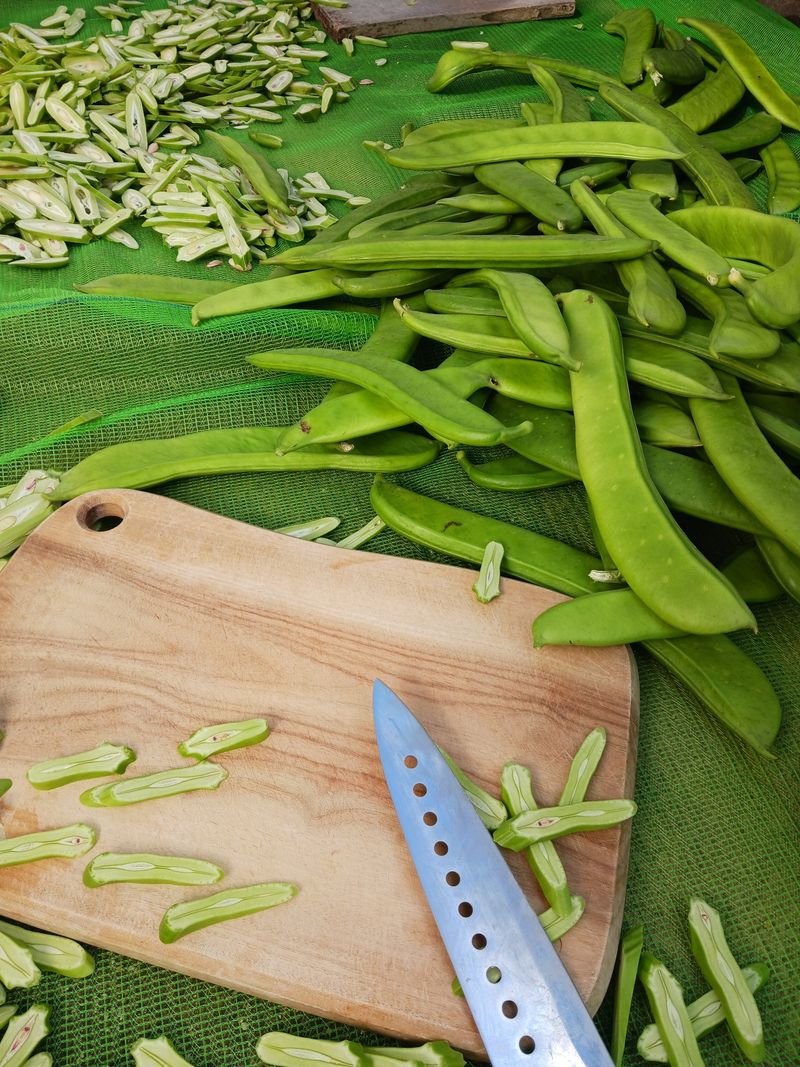 바다님의 장터 판매 상품 [비염최고 작두콩이요] 첨부 사진