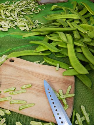 바다님의 작성글 사진