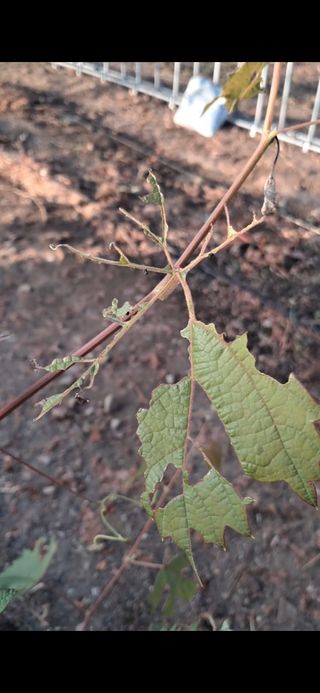 미스농부님의 자유주제 · 자유게시판 작성글 사진