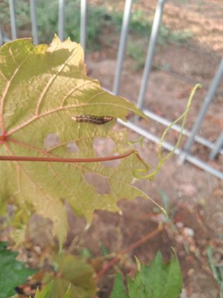 미스농부님의 자유주제 · 자유게시판 작성글 사진