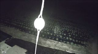 뿡뿡농장님의 배추 · 영농일지 작성글 사진