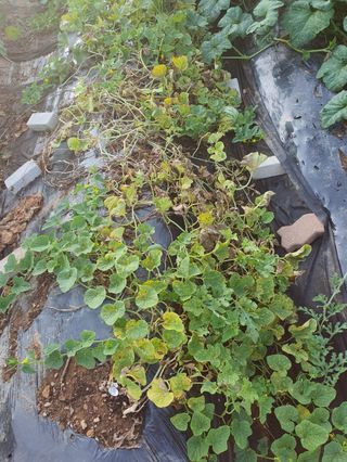 감7174님의 자유주제 · 자유게시판 작성글 사진