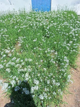 김철수님의 자유주제 · 자유게시판 작성글 사진