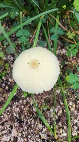 팜모닝 9월 농사계획 공유하기·참여글 게시글 이미지