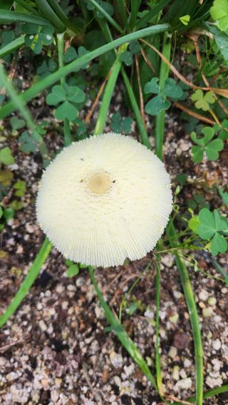 이후성님의 9월 농사계획 공유하기 · 참여글 작성글 사진