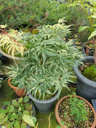 이후성님의 9월 농사계획 공유하기 · 참여글 작성글 사진