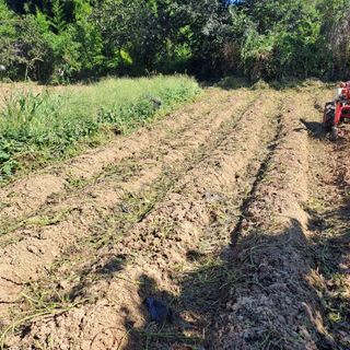 이일제님의 자유주제 · 자유게시판 작성글 사진