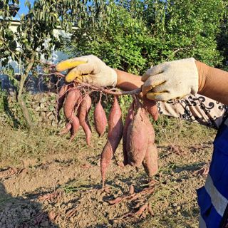 이일제님의 자유주제 · 자유게시판 작성글 사진