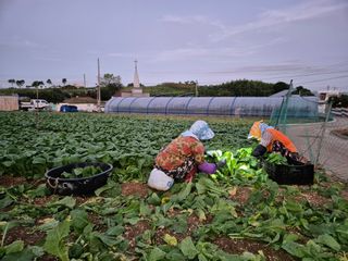 돌산갓스타님의 자유주제 · 자유게시판 작성글 사진