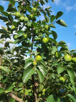 농군님의 9월 농사계획 공유하기 · 참여글 작성글 사진