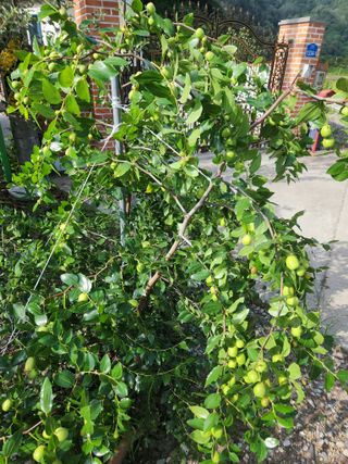 농군님의 9월 농사계획 공유하기 · 참여글 작성글 사진