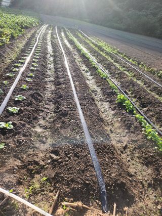 농군님의 9월 농사계획 공유하기 · 참여글 작성글 사진