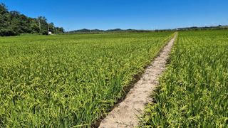 김영래큰집참농장한우님의 자유주제 · 자유게시판 작성글 사진