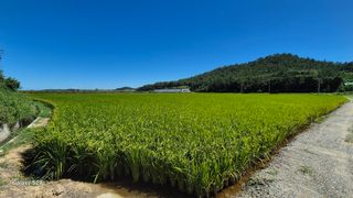 김영래큰집참농장한우님의 자유주제 · 자유게시판 작성글 사진