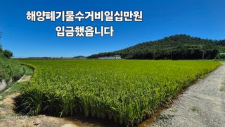 김영래큰집참농장한우님의 9월 농사계획 공유하기 · 참여글 작성글 사진