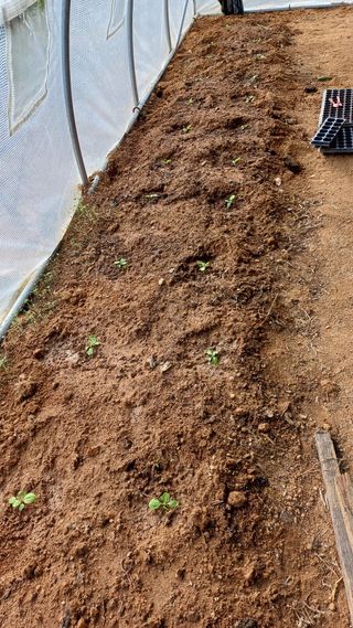 박순덕님의 자유주제 · 자유게시판 작성글 사진