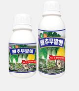 팜모닝 · 게시글 이미지