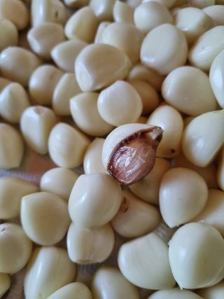 서순희님의 마늘 · 영농일지 작성글 사진