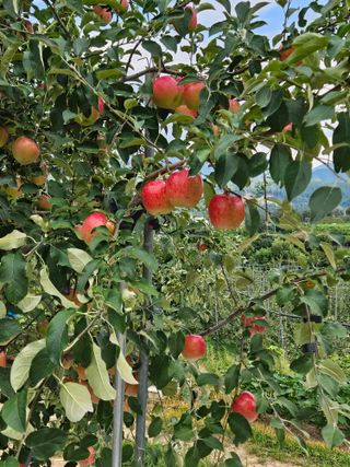 손기홍님의 자유주제 · 자유게시판 작성글 사진