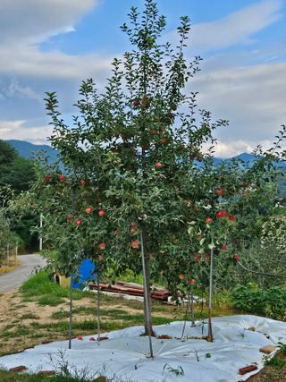 손기홍님의 자유주제 · 자유게시판 작성글 사진