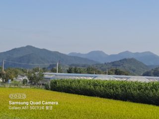 MSG0074님의 자유주제 · 자유게시판 작성글 사진