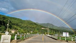 MSG0074님의 자유주제 · 자유게시판 작성글 사진