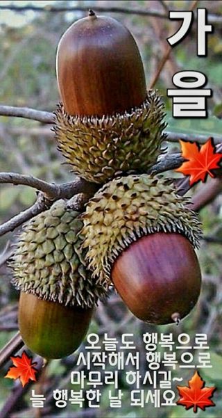 MSG0074님의 자유주제 · 자유게시판 작성글 사진