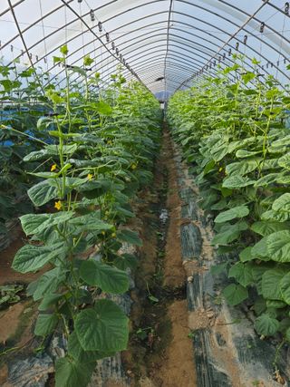 최종진님의 자유주제 · 자유게시판 작성글 사진