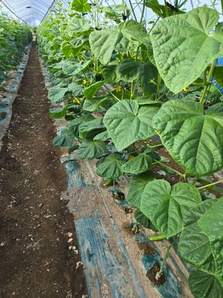 최종진님의 자유주제 · 자유게시판 작성글 사진