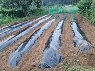 들꽃농장님의 9월 농사계획 공유하기 · 참여글 작성글 사진