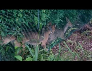 들꽃농장님의 9월 농사계획 공유하기 · 참여글 작성글 사진