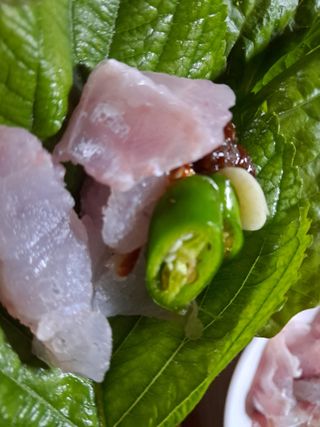 별빛농장지기님의 자유주제 · 자유게시판 작성글 사진