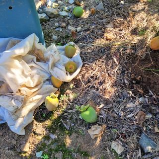 이창화님의 자유주제 · 자유게시판 작성글 사진