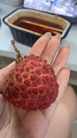 팜모닝 기타작물·영농일지 게시글 이미지