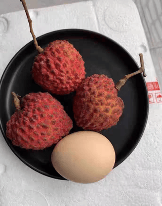 다디단 망고 농장님의 기타작물 · 영농일지 작성글 사진