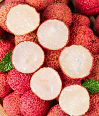 다디단 망고 농장님의 기타작물 · 영농일지 작성글 사진