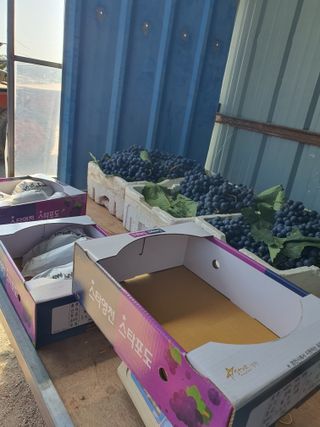 문순이님의 자유주제 · 자유게시판 작성글 사진